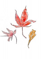 http://francesleeceramics.com/files/gimgs/th-31_Autumn leaves 1 web.jpg